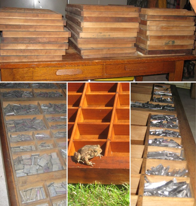 dusty type (no bugs in this drawer at least), a toad who thought a freshly washed type drawer would make a nice home, delicious squeaky clean lead type.