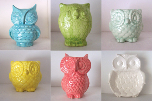 owls