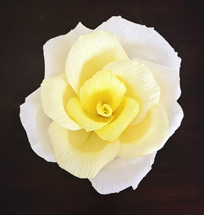 rose_yellow_gradient_1656