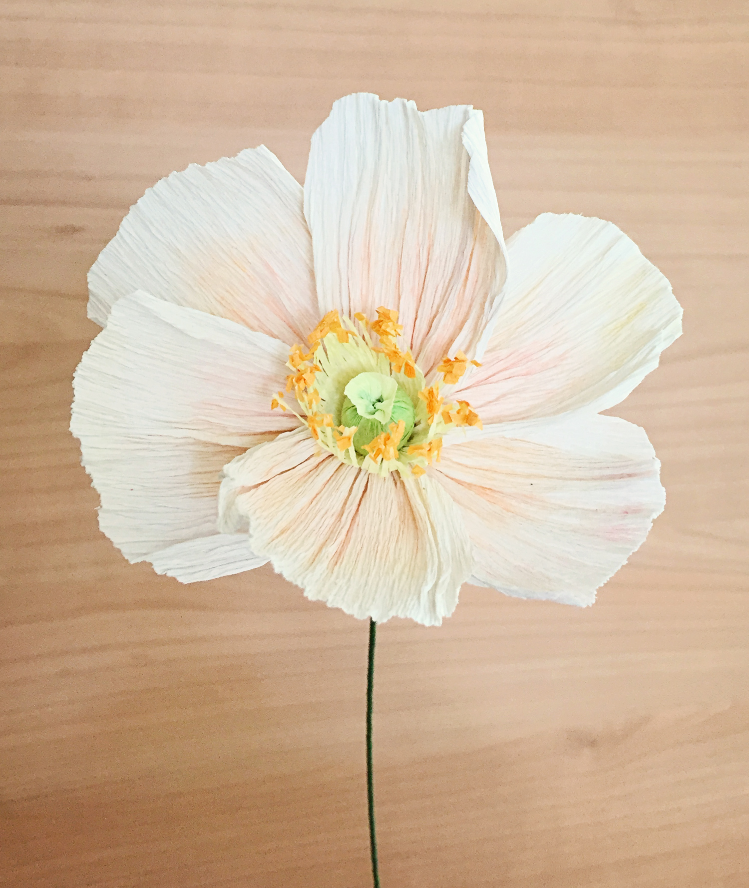 Small Ruffled Poppy A Poppy by Any Name… – 622 press | LETTERPRESS GOODS MADE BY HAND